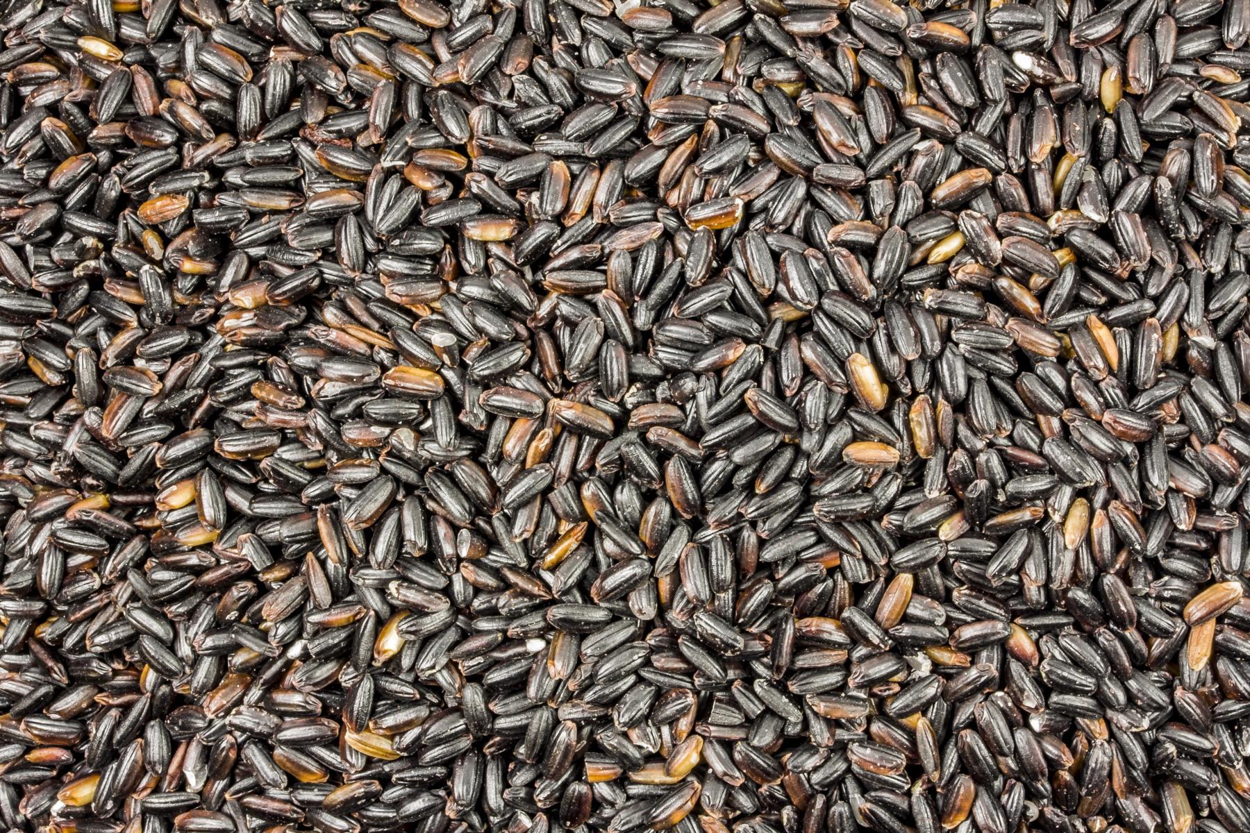Biologische zwarte langkorrelrijst 25kg