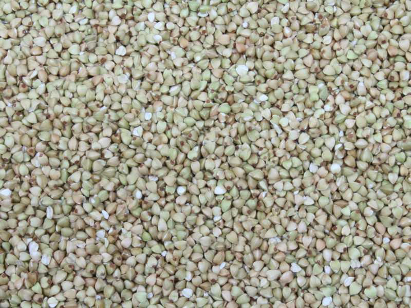 Geschilde biologische boekweit uit Europa 25kg