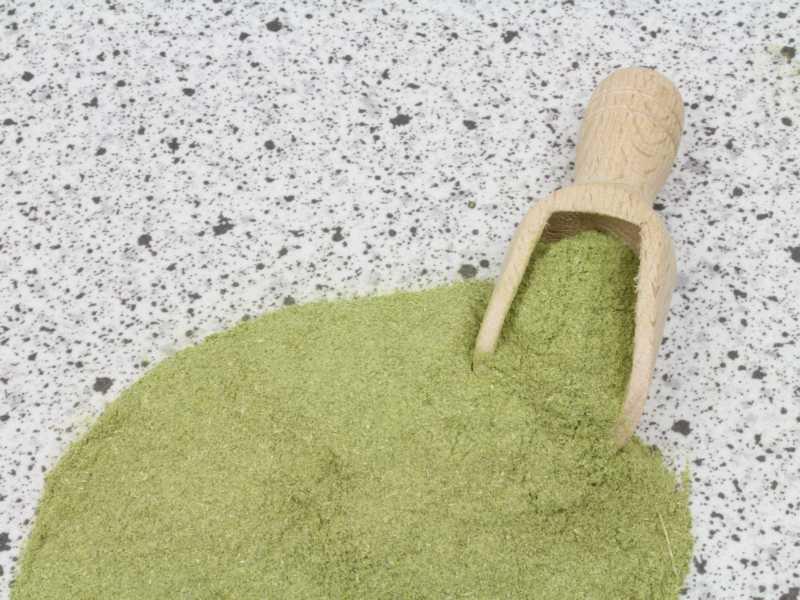 Biologisch gemalen Schabzigerklee 25kg
