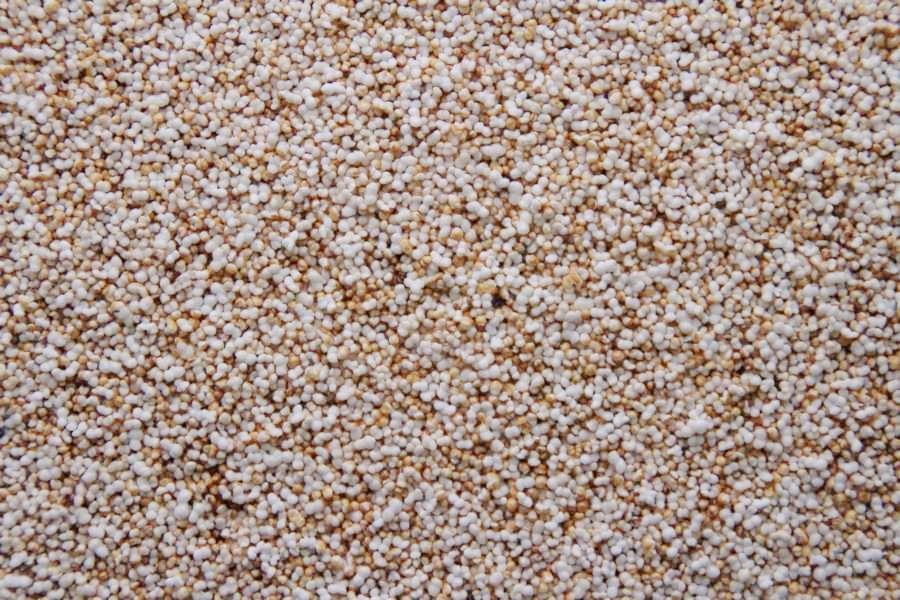 Biologische gepofte amarant 15kg