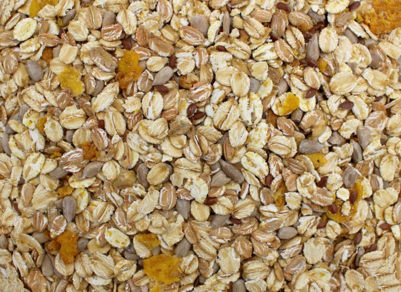 Biologisch muesli zonder rozijnen 25kg