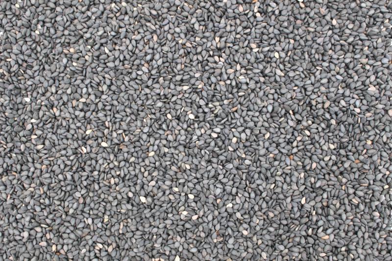 Biologische zwarte sesamzaad 6x250g