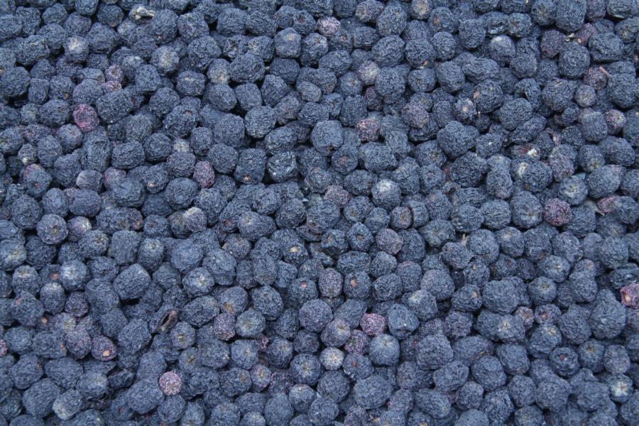 Biologische Aroniabessen 1kg