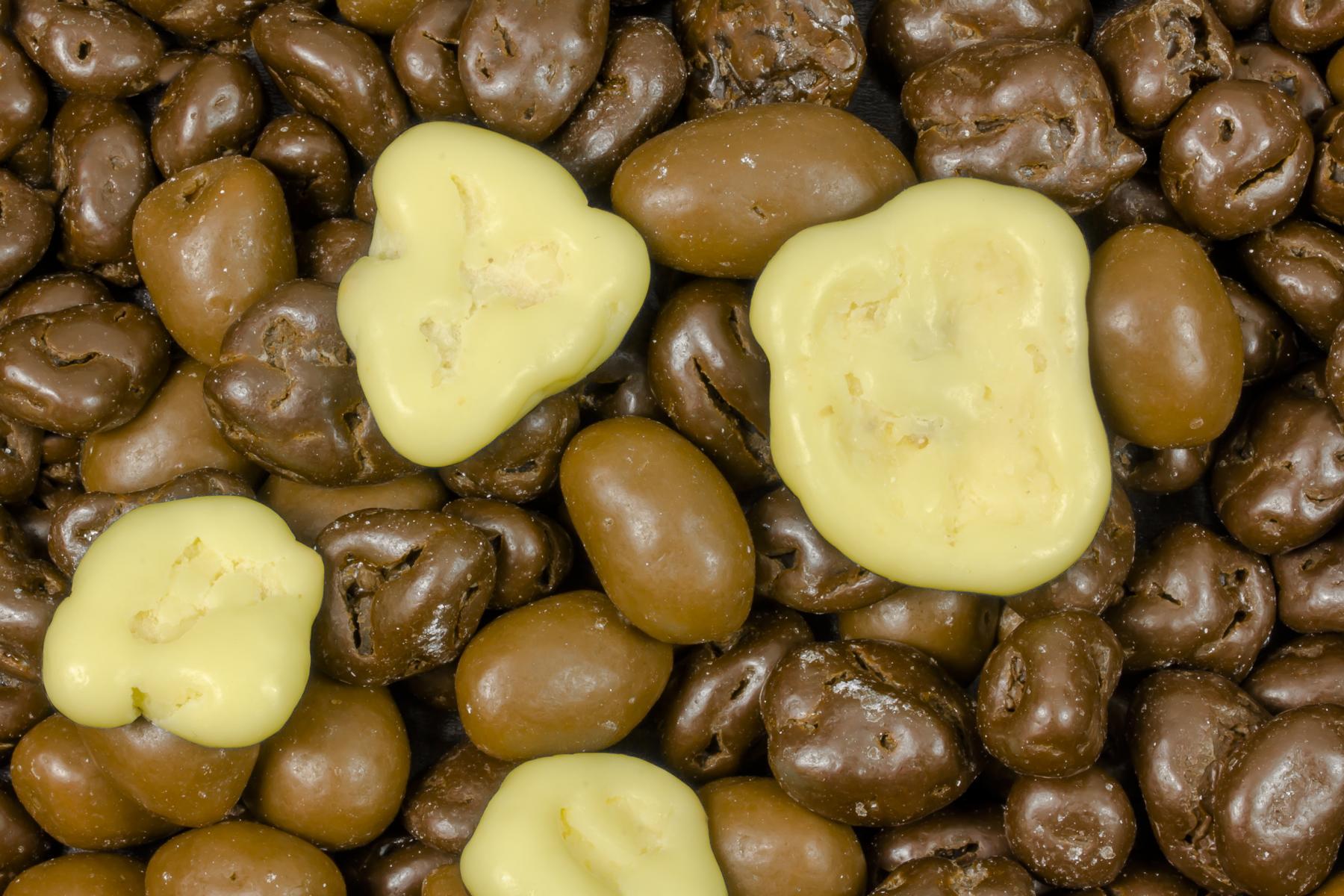 Gemengde noten en gedroogde vruchten met chocolade, biologisch 5kg