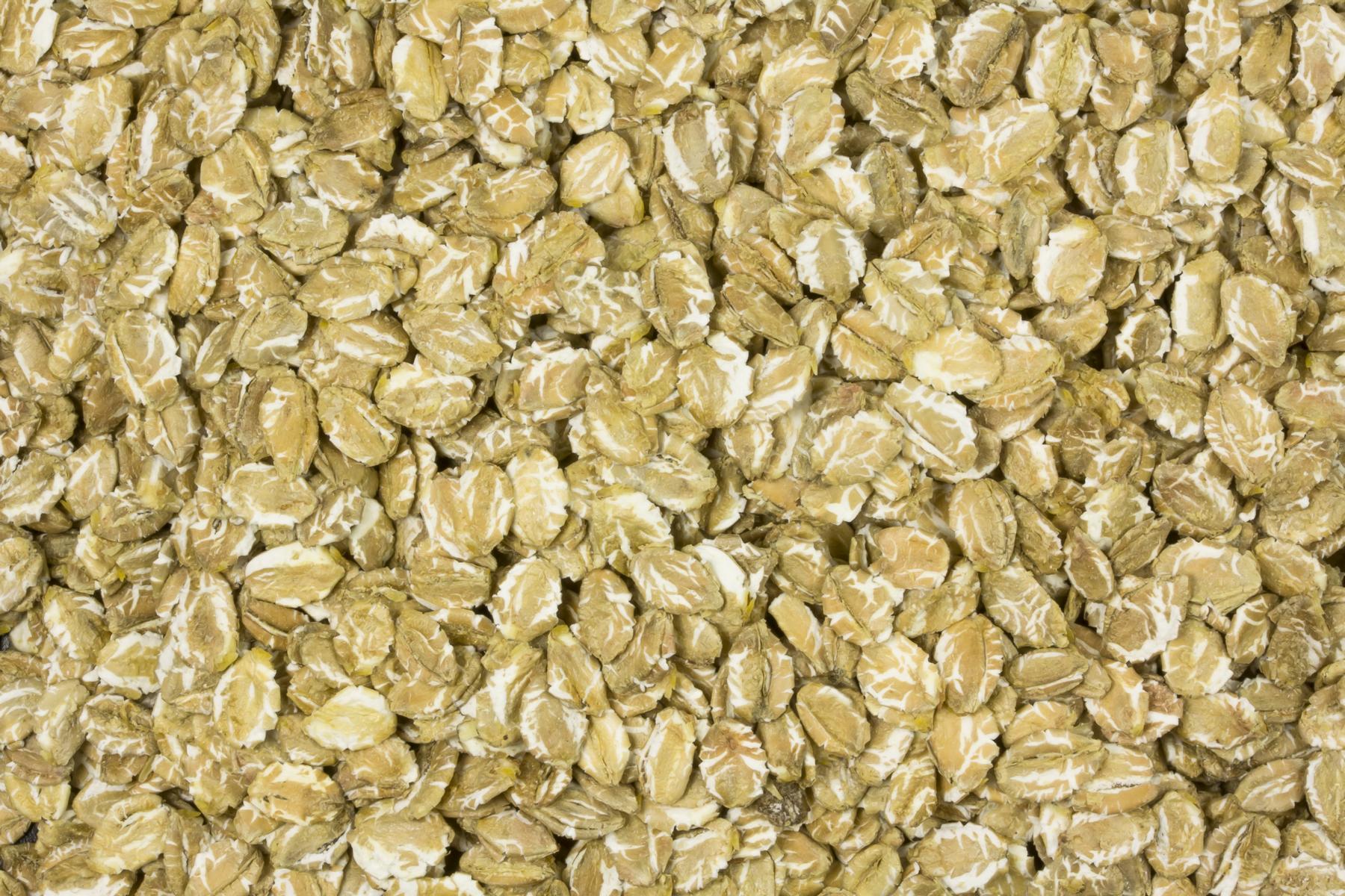 Biologische roggevlokken 25kg