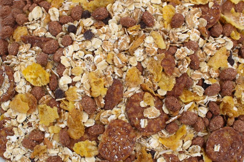Müsli Chocolade biologisch 20kg