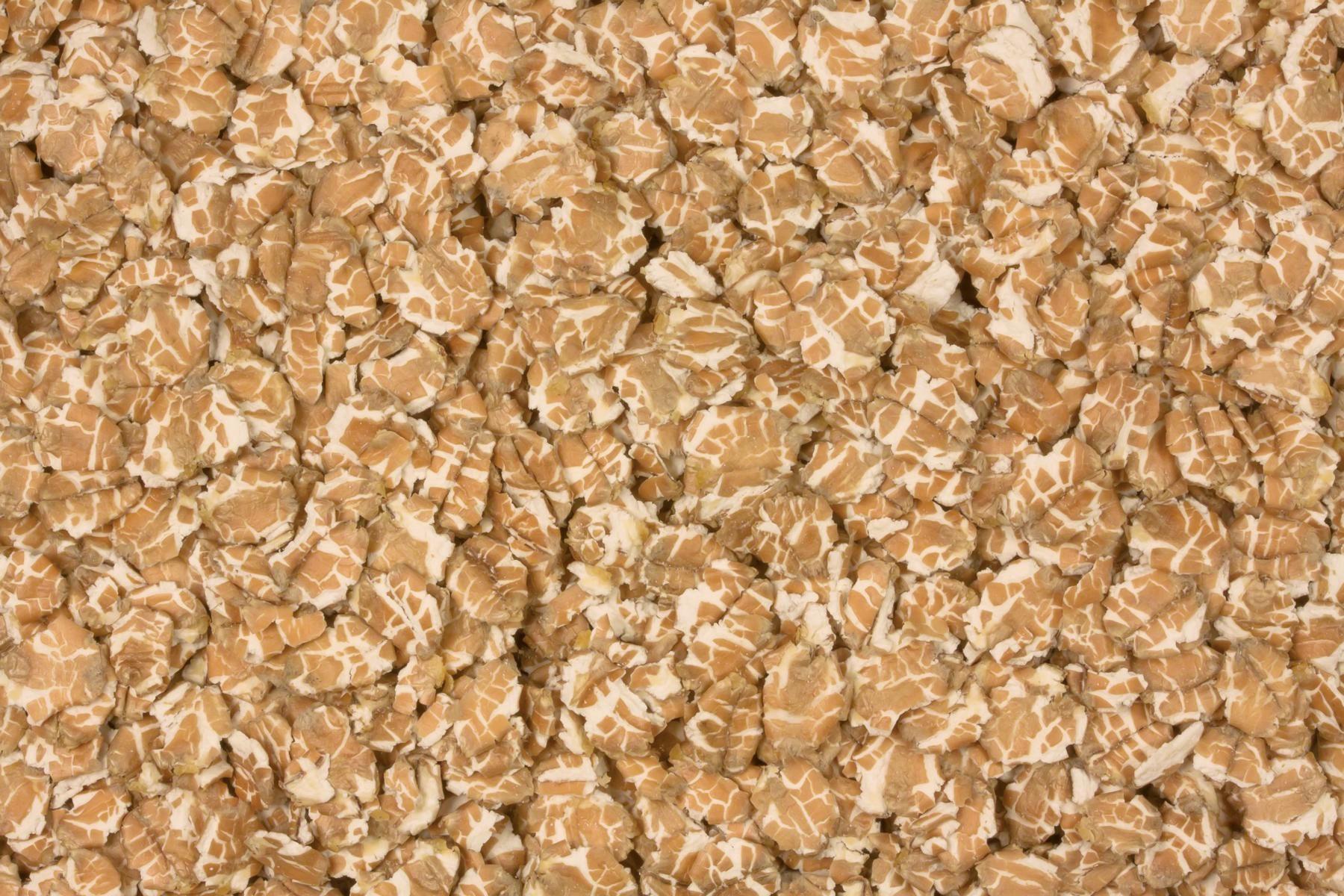 Biologische tarwebvlokken 25kg