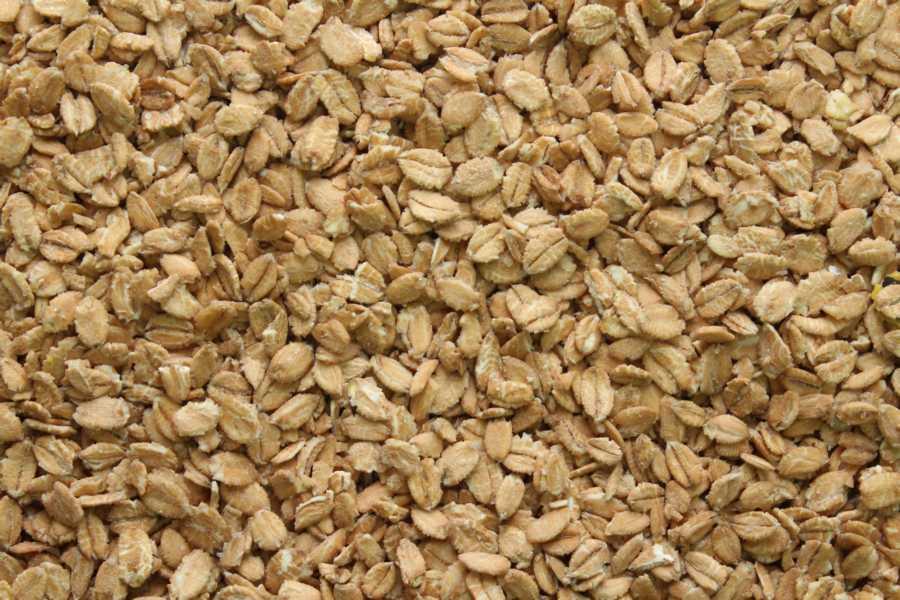 Crunchy Spelt Bio 25kg