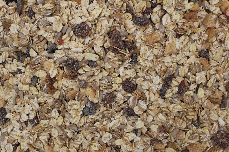 Fruit Müsli bio 5kg
