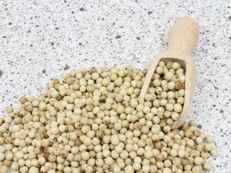 Biologische witte peperkorrels 25kg