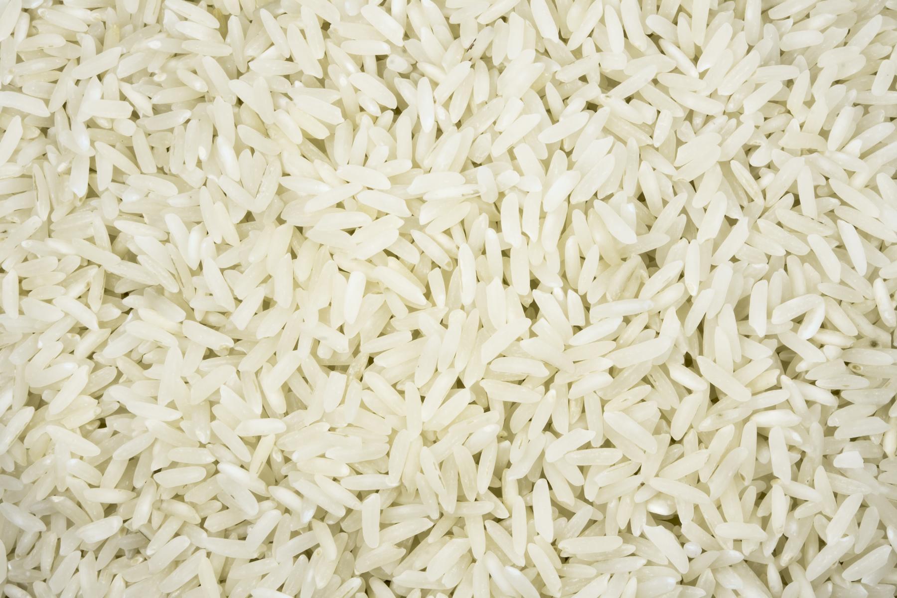 Biologische geurrijst wit Italië 25kg