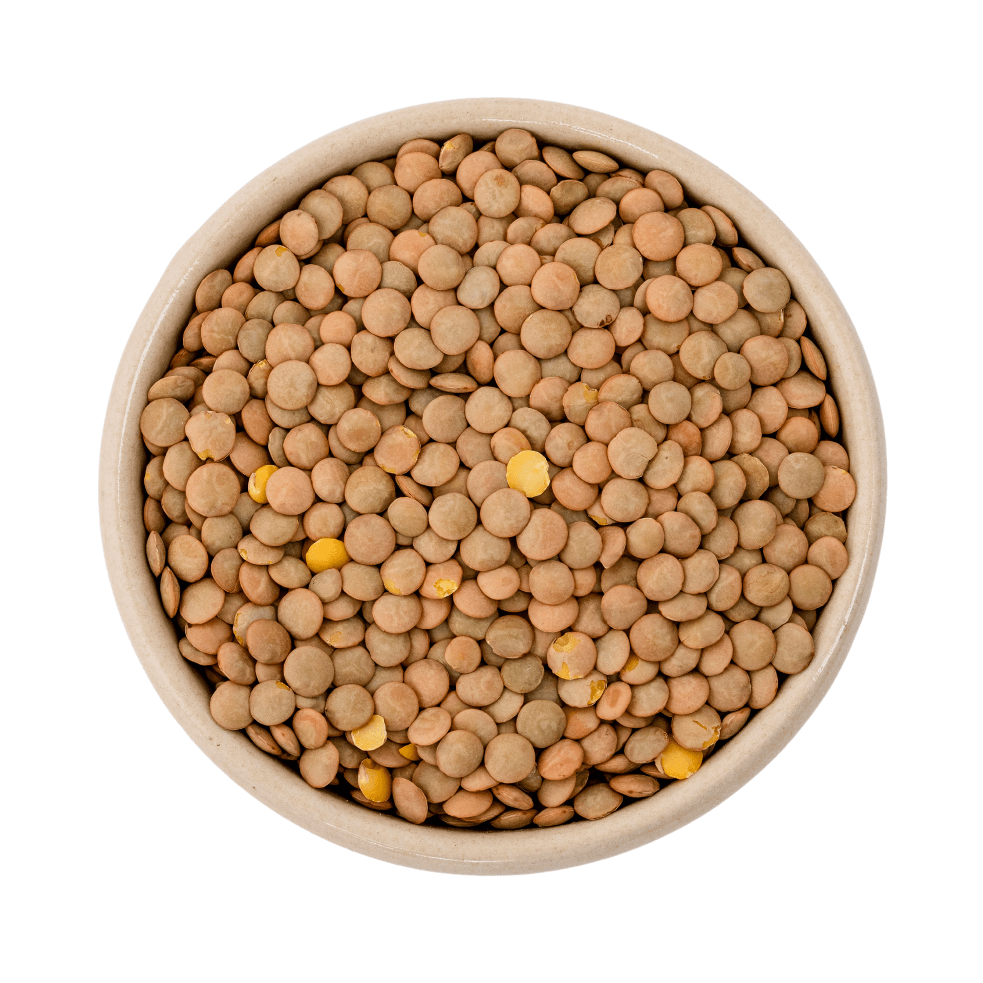 Biologische bruine lentils (schaal, Laird) 6x500g