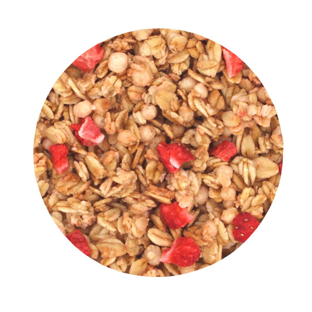 Crunchy Aardbei (Hafer) Biologisch 5kg
