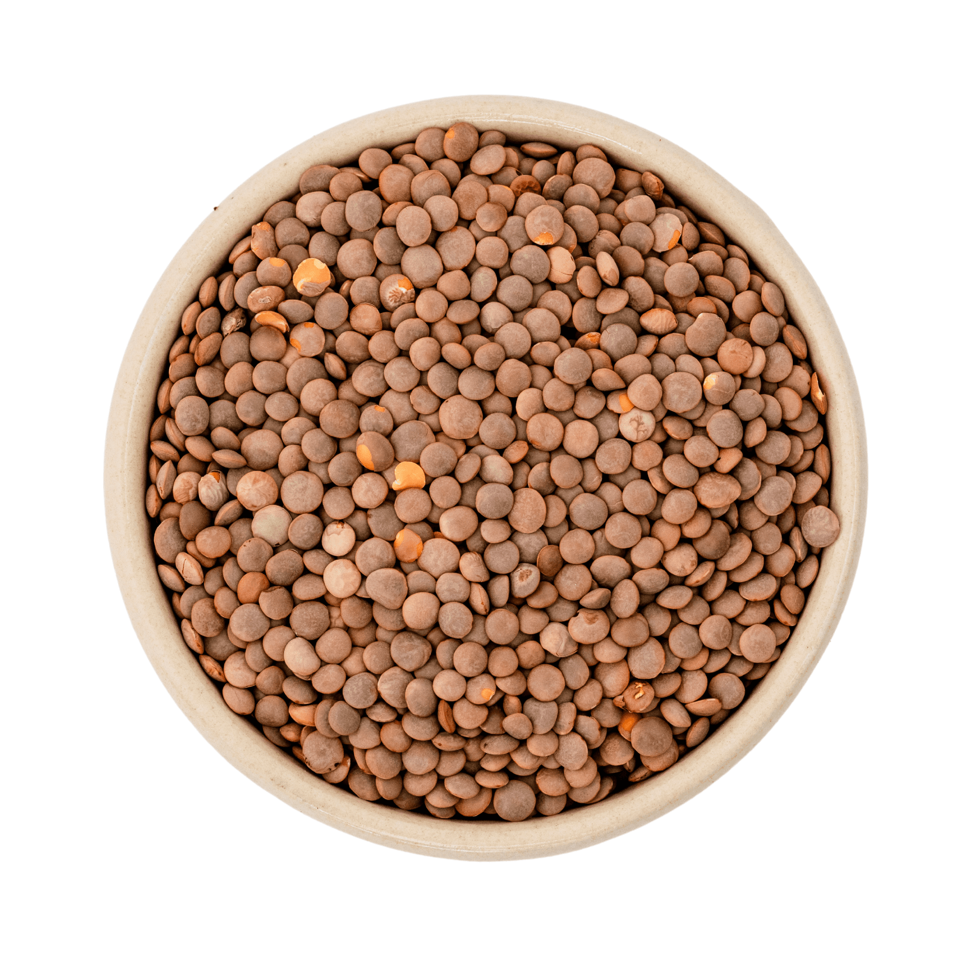 Biologische bruine berglenzen (Gourmet) 25kg