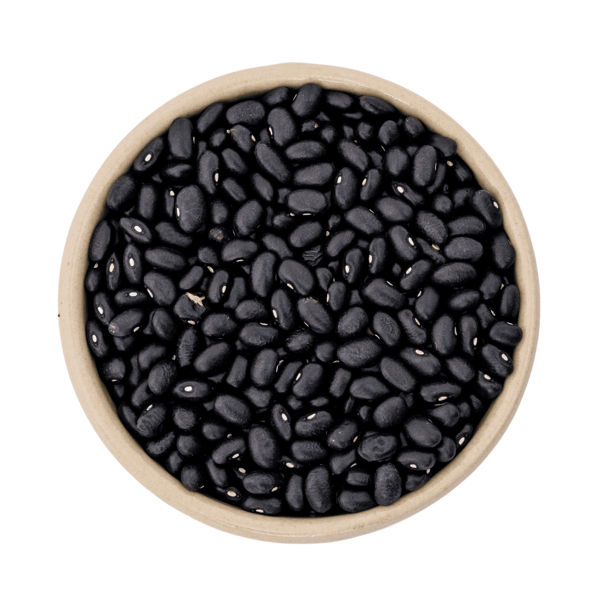 Zwarte bonen bio (black turtle) 5kg