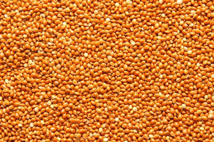 Biologische geschilde gierst 25kg
