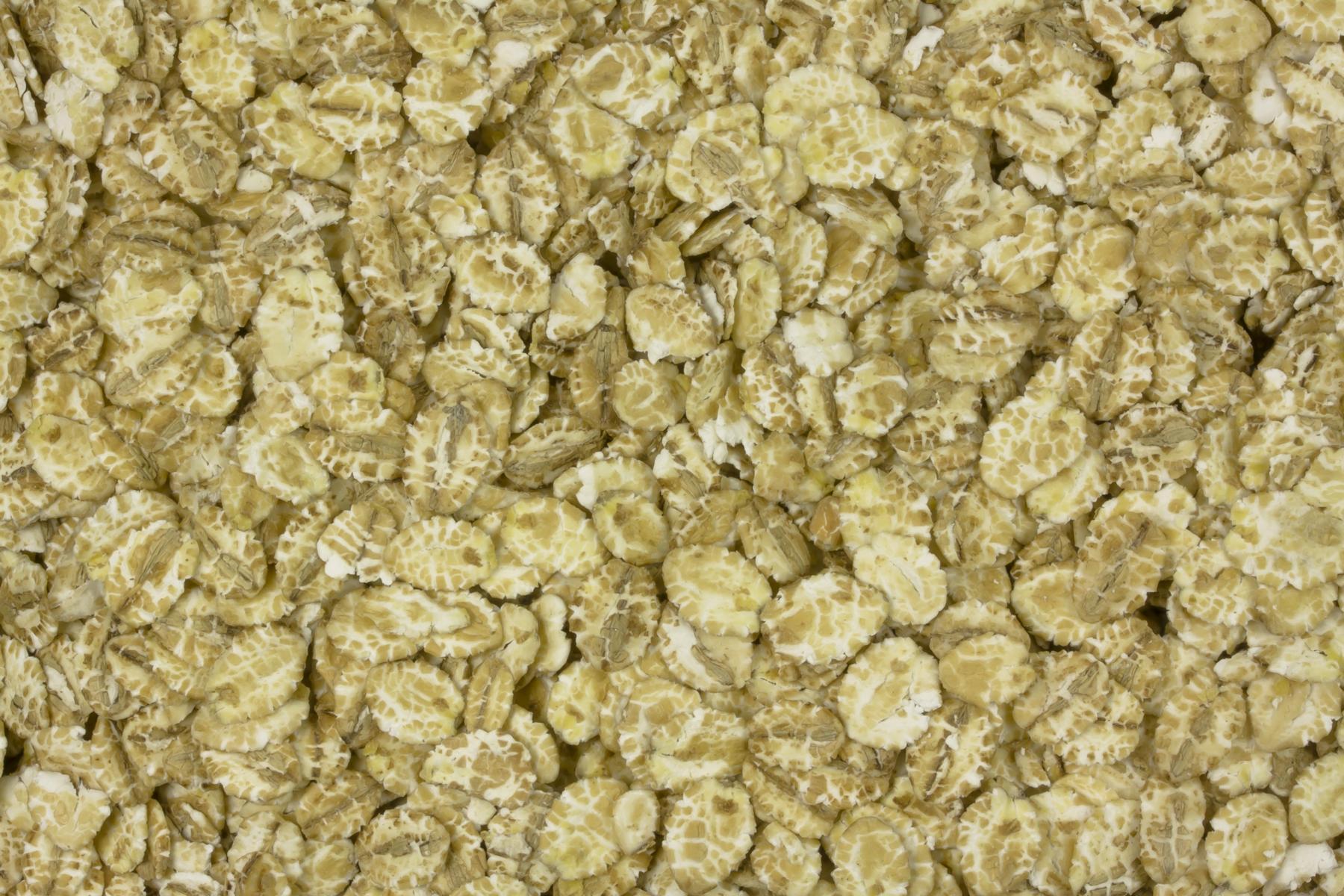 Biologische gerstenvlokken 25kg