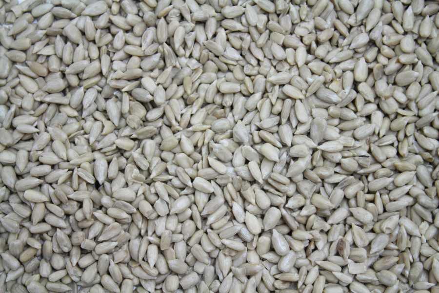 Biologische Zonnbloempitten High Oleic Europa 25kg
