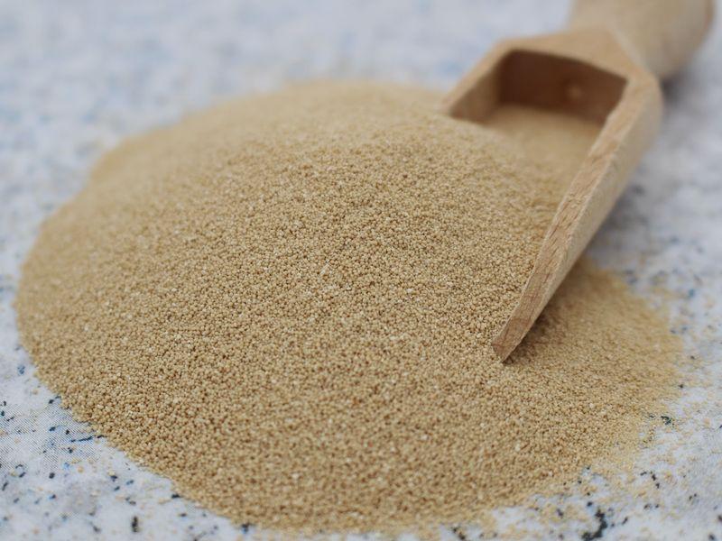 Gist "Meester Bakgist" droog glutenvrij bio 1x390g BioVegan